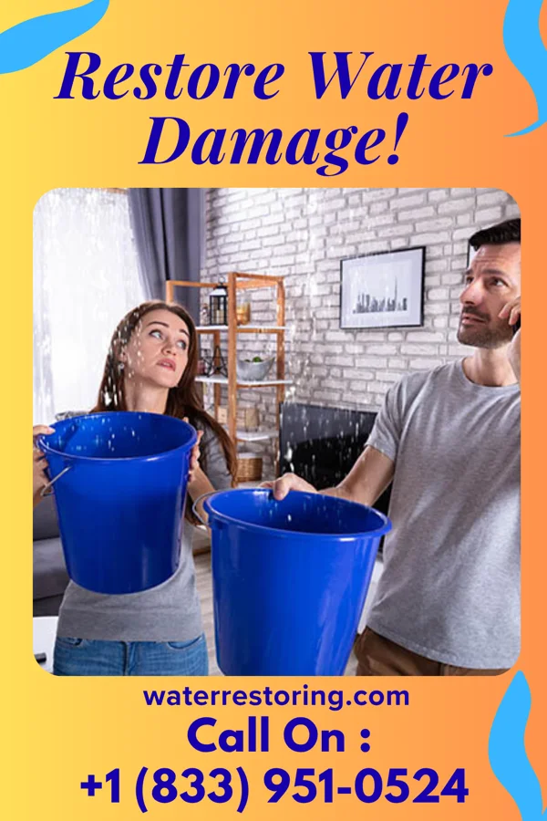 water restoration Platinum Water Removal Crew New Boston