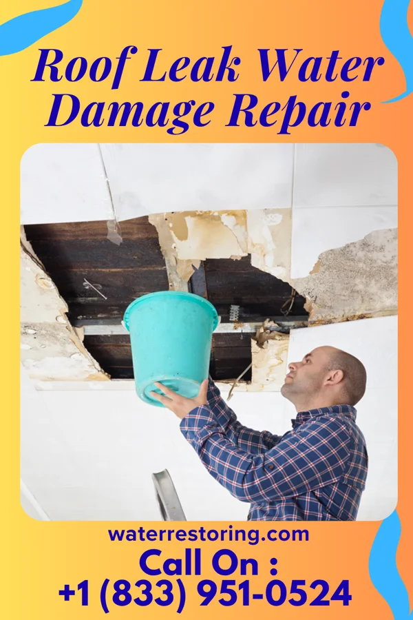 Roof Leak Water Damage Repair in New Boston, TX