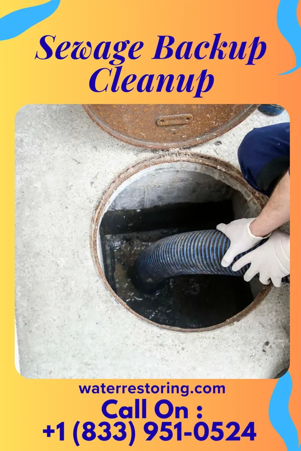 Sewage Backup Cleanup in New Boston, TX